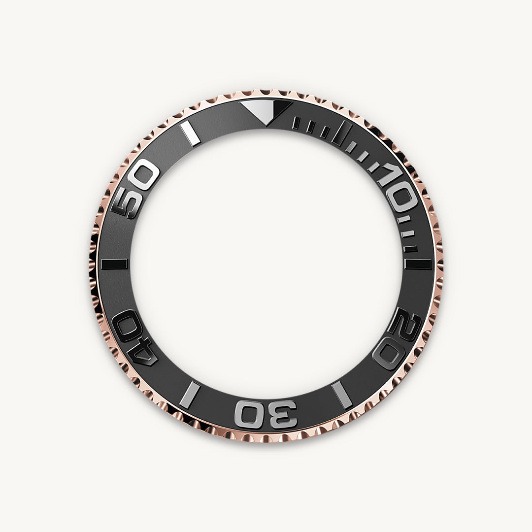 Bidirectional Rotatable Bezel