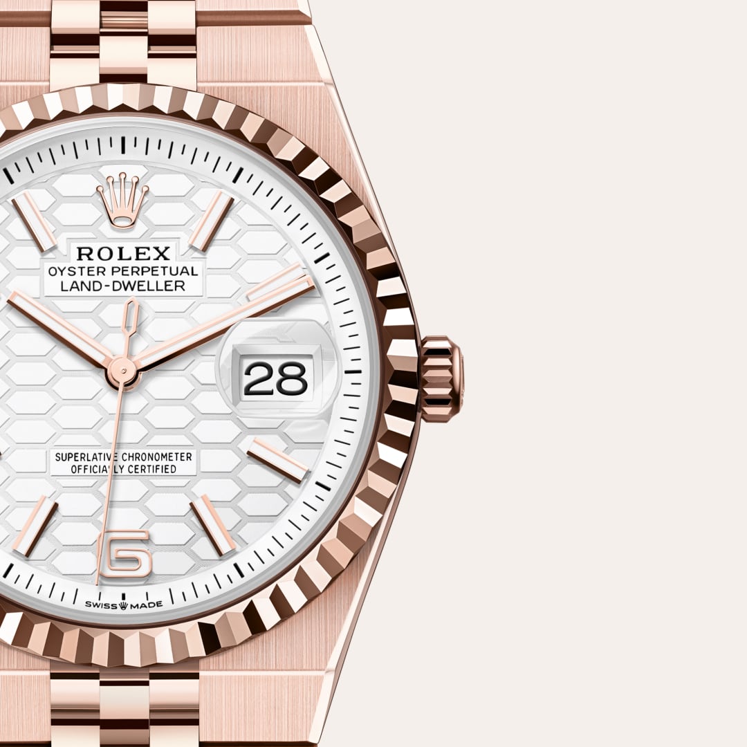 Rolex Land-Dweller 36 in 18 kt Everose gold with a intense white, honeycomb motif dial, fluted bezel, and Flat Jubilee bracelet.