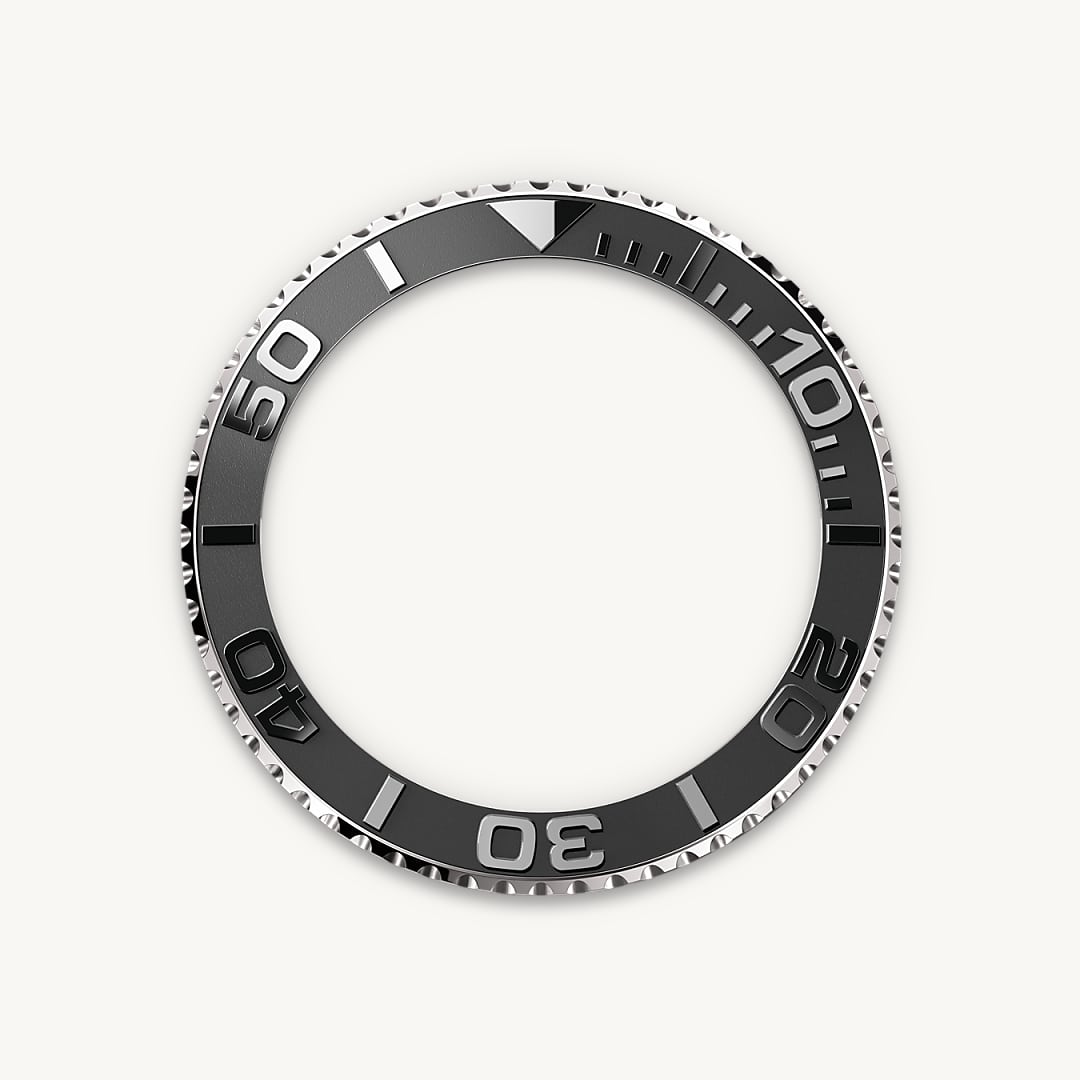 Bidirectional Rotatable Bezel