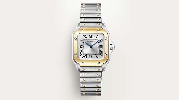 Santos de Cartier Watch | REEDS Landmark